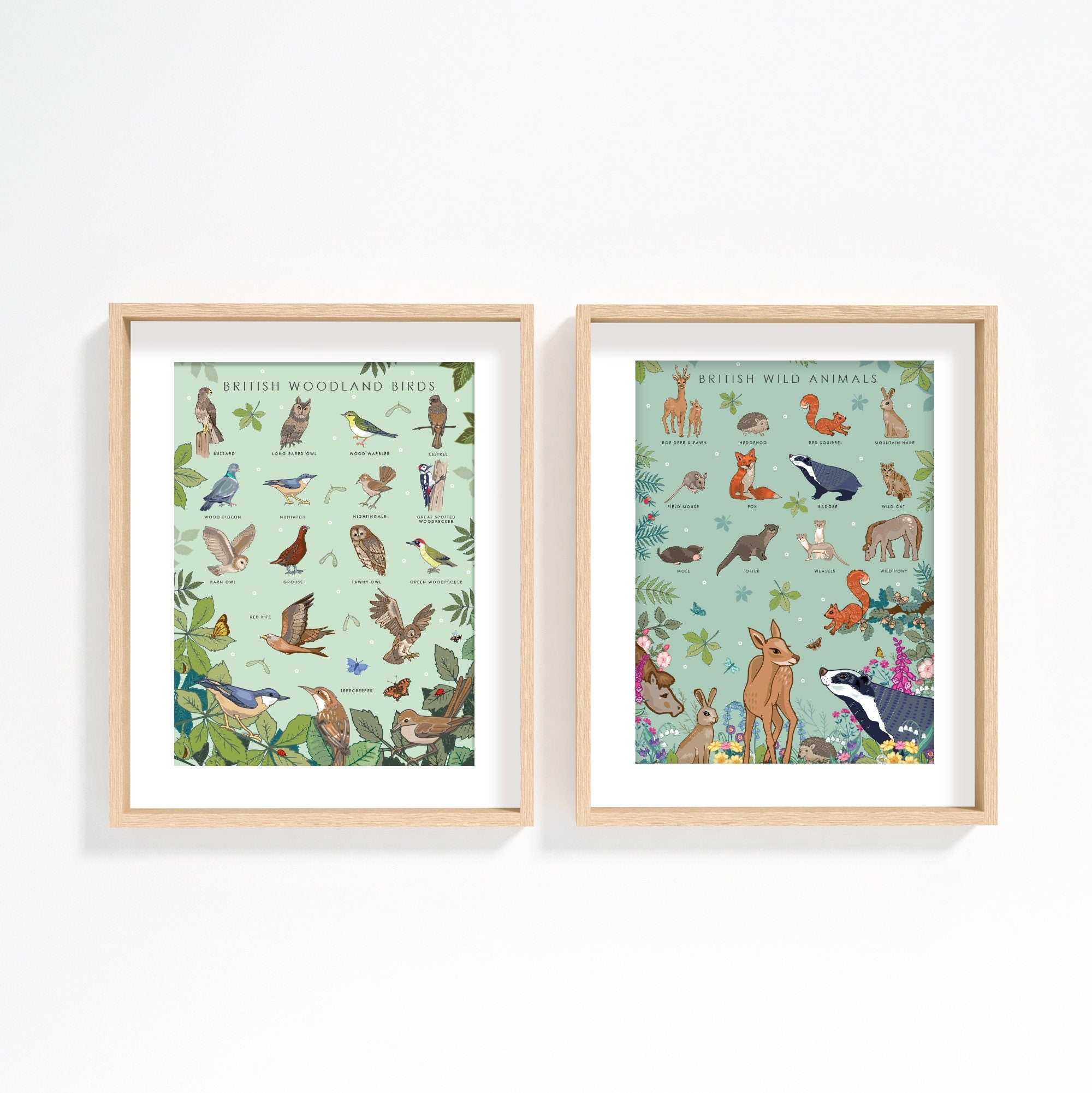 British Woodland Birds Nature Guide Wall Art Print