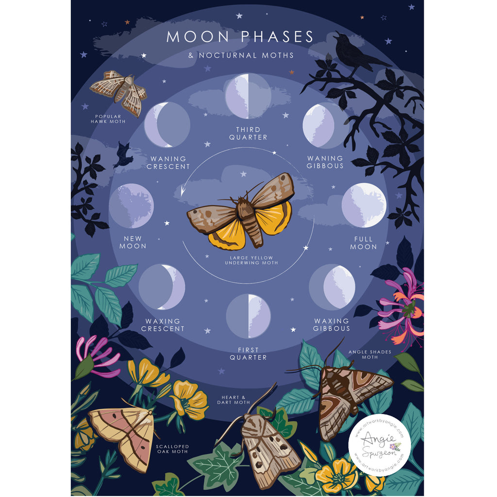 Moon Phases and Nocturnal Moths Nature Guide Print