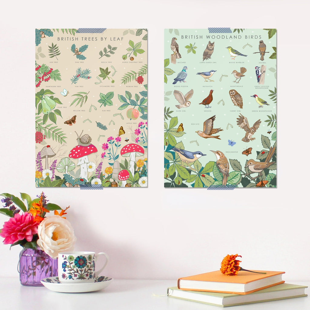British Trees by Leaves Nature Guide Wall Art