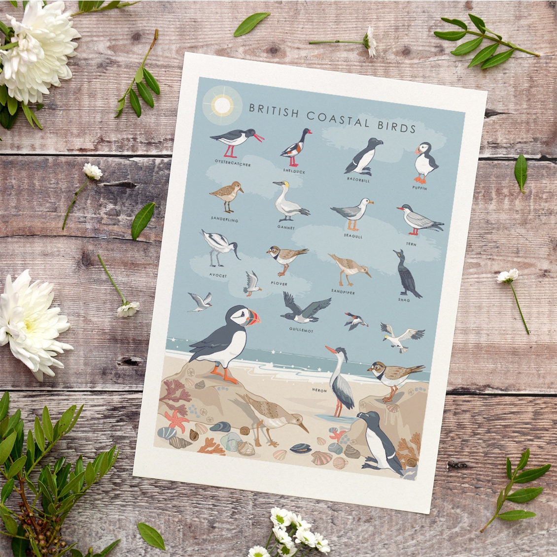 British Coastal Birds Art Print
