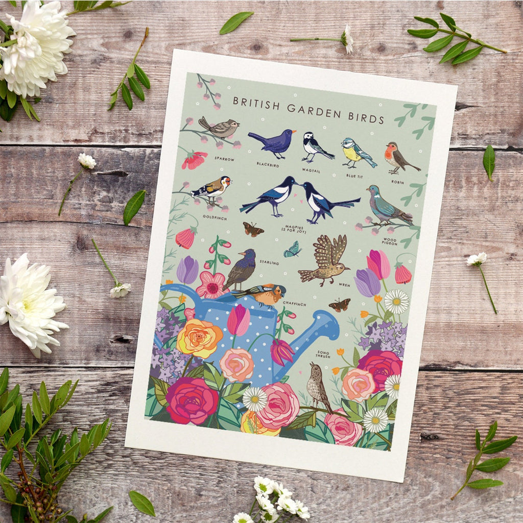 British Garden Birds Nature Guide Wall Art Print