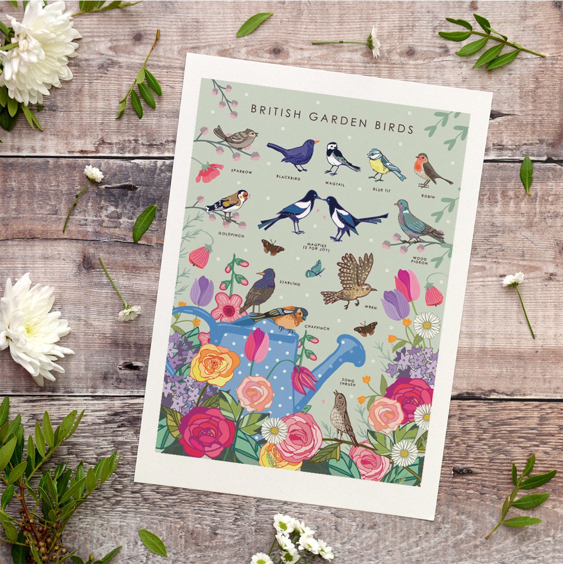 British Garden Birds Nature Guide Wall Art Print