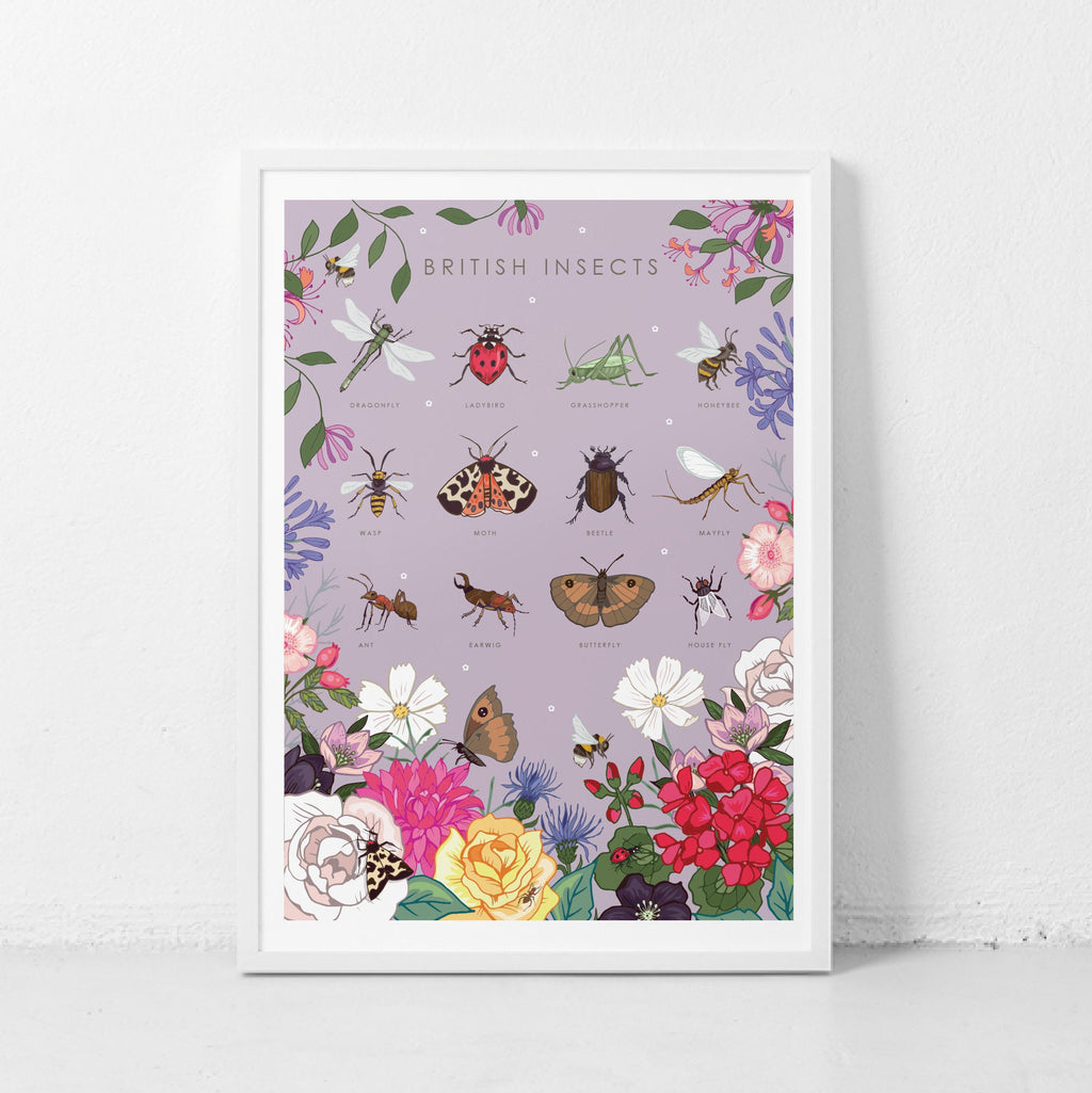 British Insects Nature Guide Wall Art Print