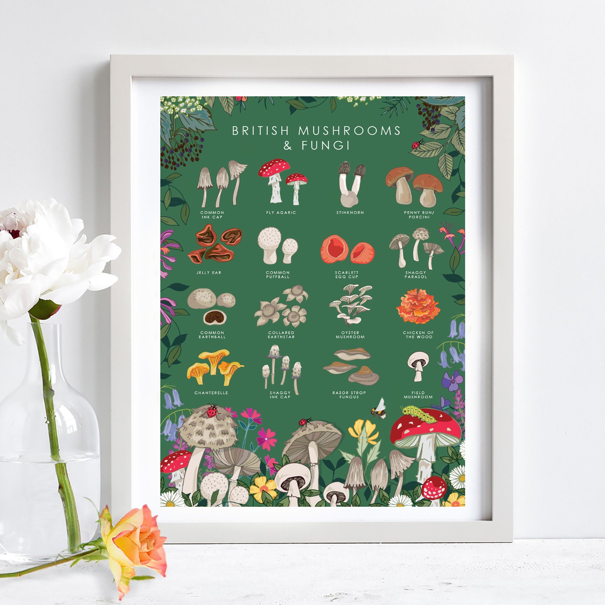 British Mushrooms and Fungi Nature Guide Wall Art Print