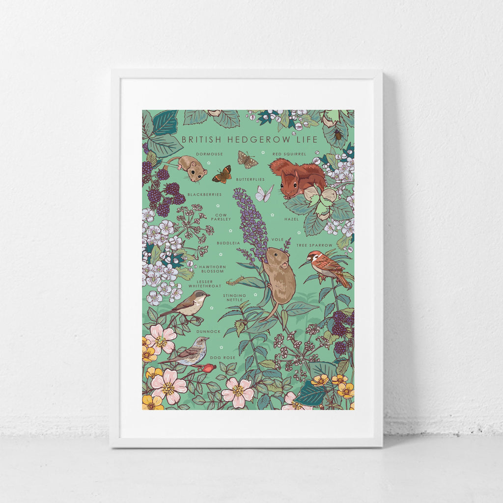 British Hedgerow Life Nature Guide Wall Art Print