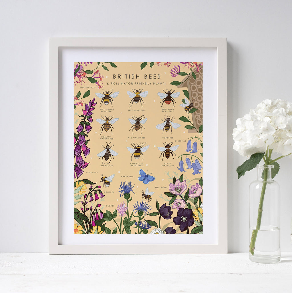 British Bees and Pollinator Friendly Plants Nature Guide Print