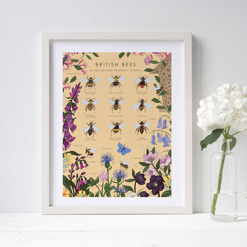 British Bees and Pollinator Friendly Plants Nature Guide Print