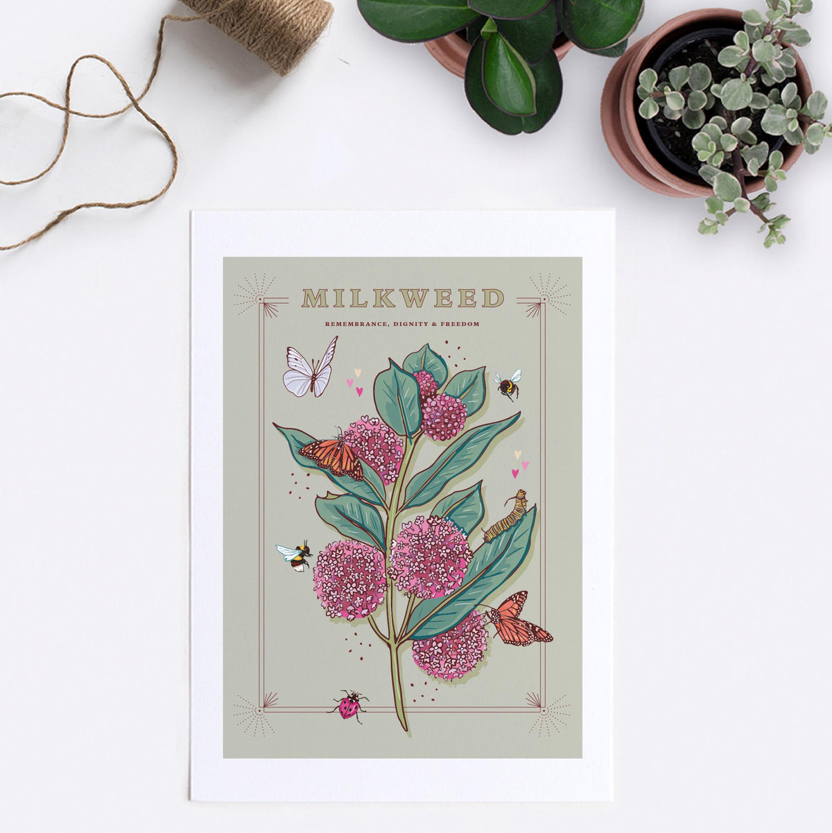 Milkweed and Monarch Butterfly Wall Art Print