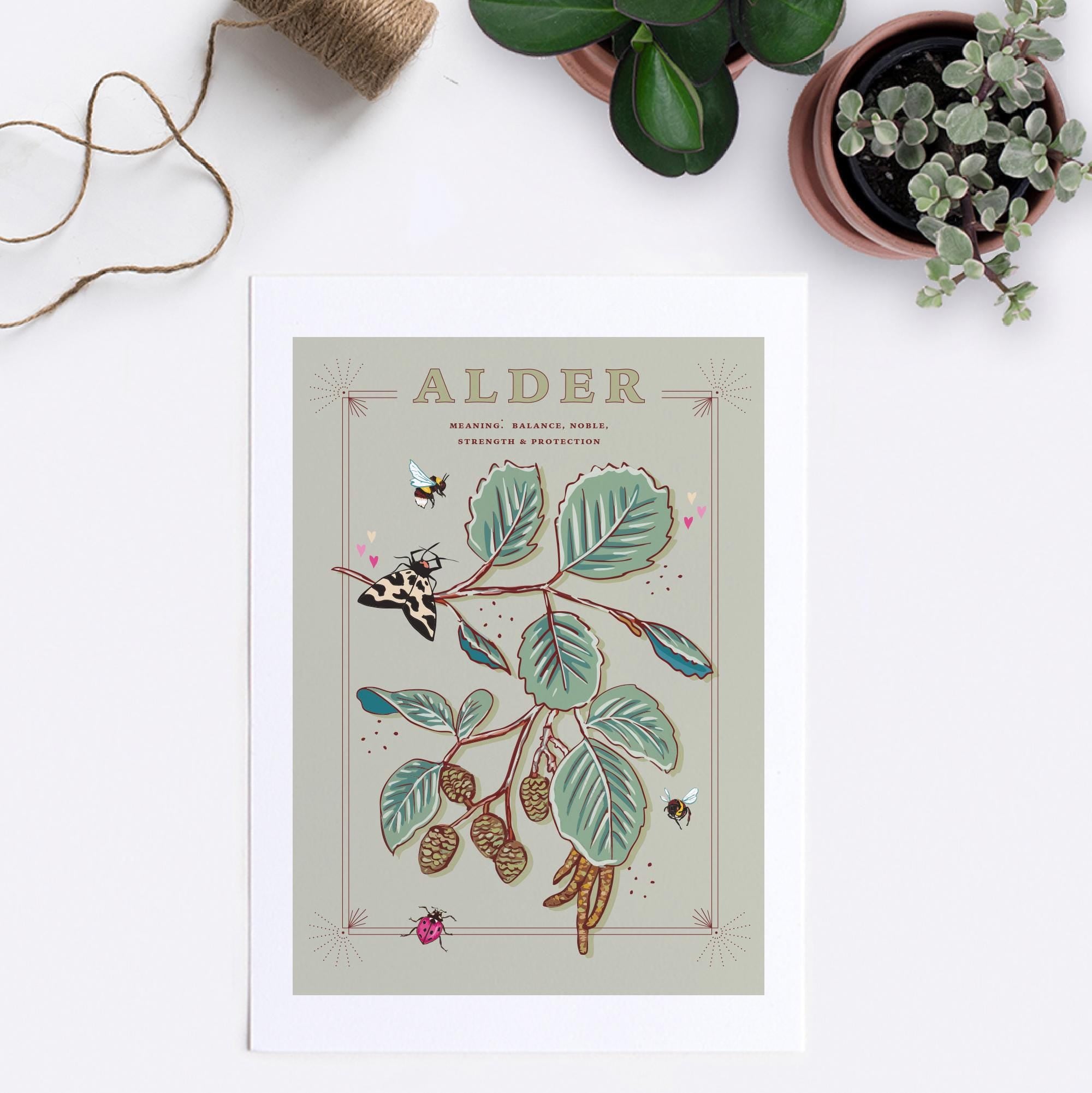 Alder Tree Wall Art Print