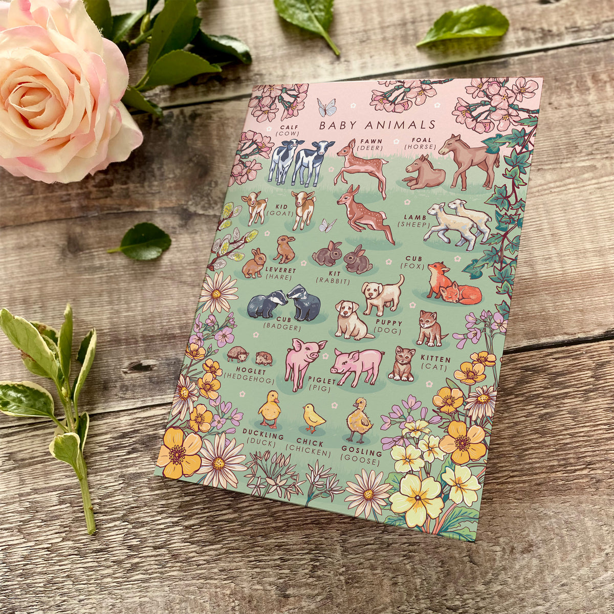 Nature Guide Art Card Set: Wheel of the Year, Baby Animals, Tea Plants
