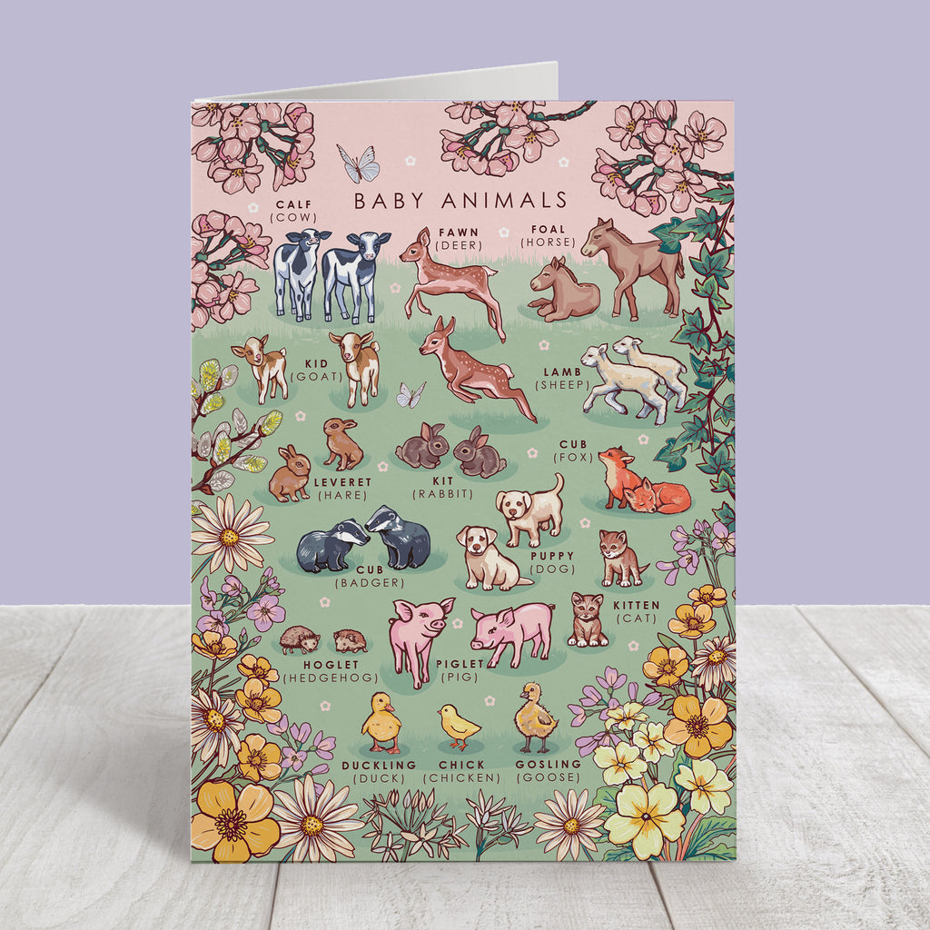 Nature Guide Art Card Set: Wheel of the Year, Baby Animals, Tea Plants