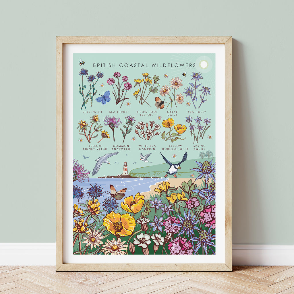 British Coastal Wildflowers Nature Guide Wall Art Print