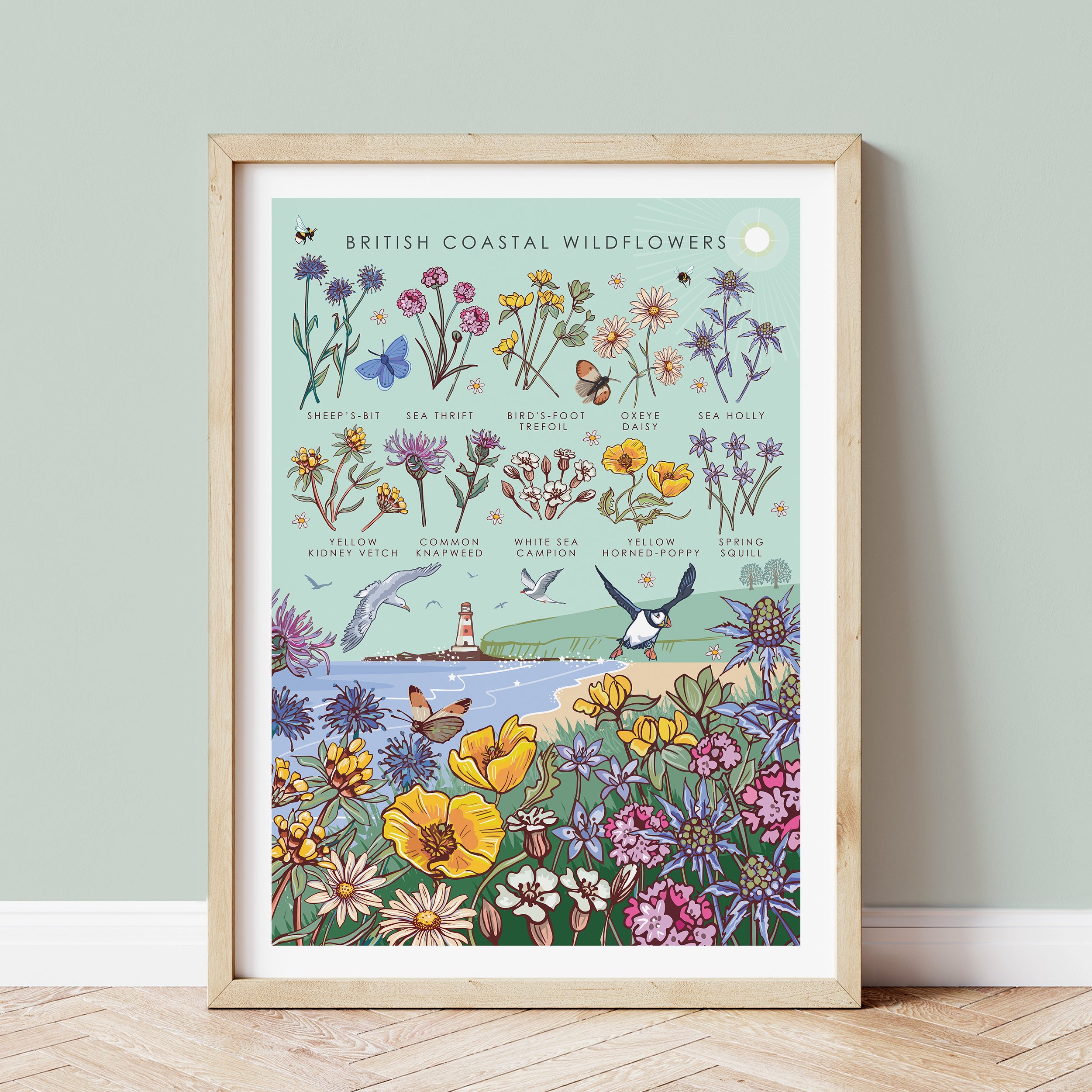 British Coastal Wildflowers Nature Guide Wall Art Print