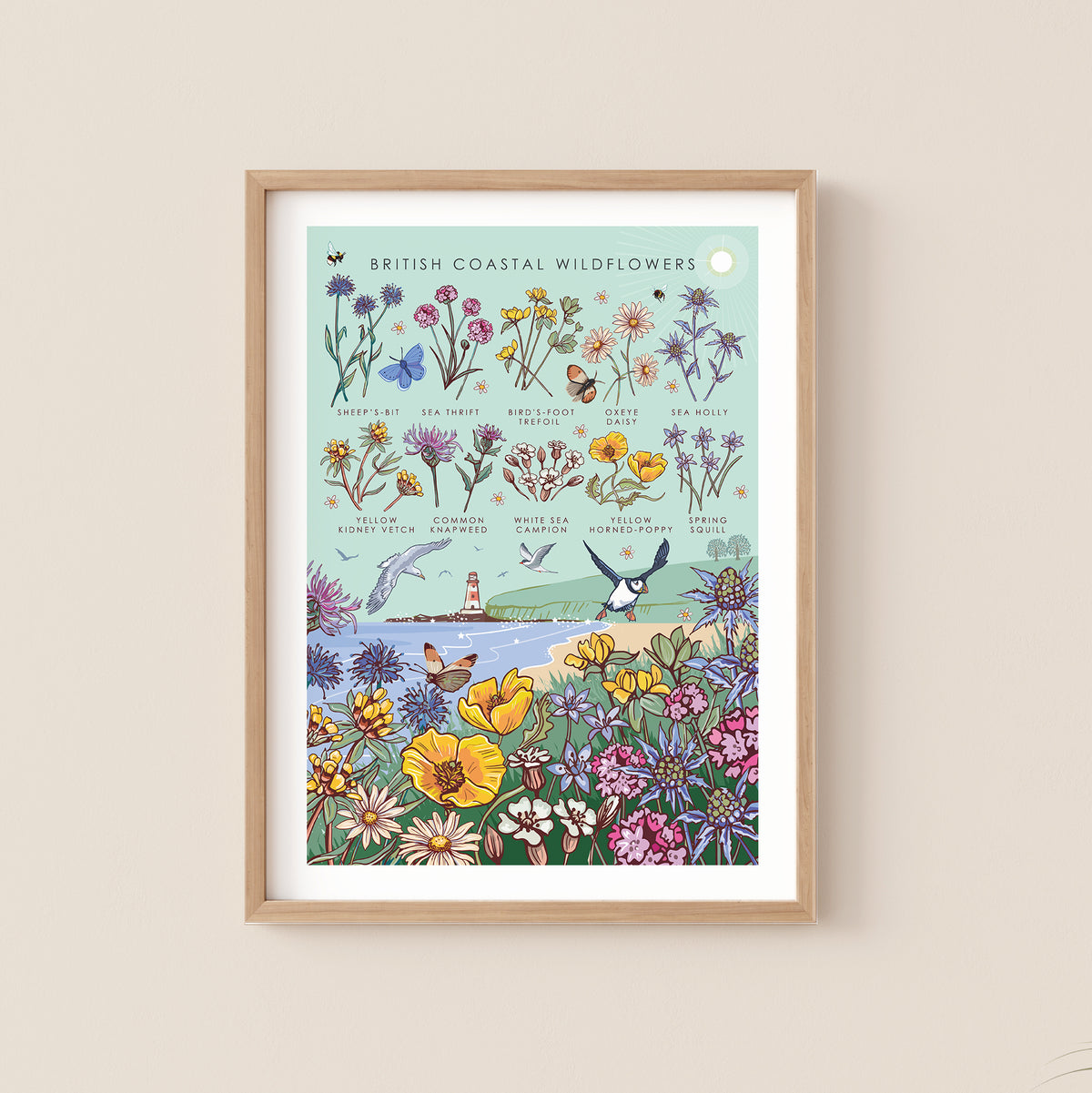 British Coastal Wildflowers Nature Guide Wall Art Print
