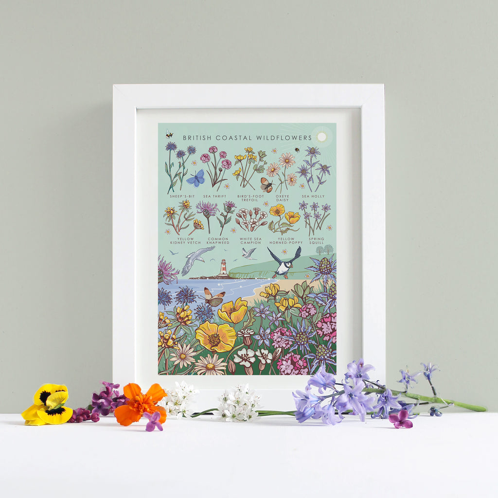 British Coastal Wildflowers Nature Guide Wall Art Print
