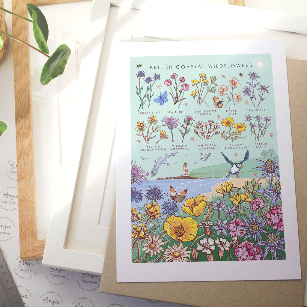 British Coastal Wildflowers Nature Guide Wall Art Print