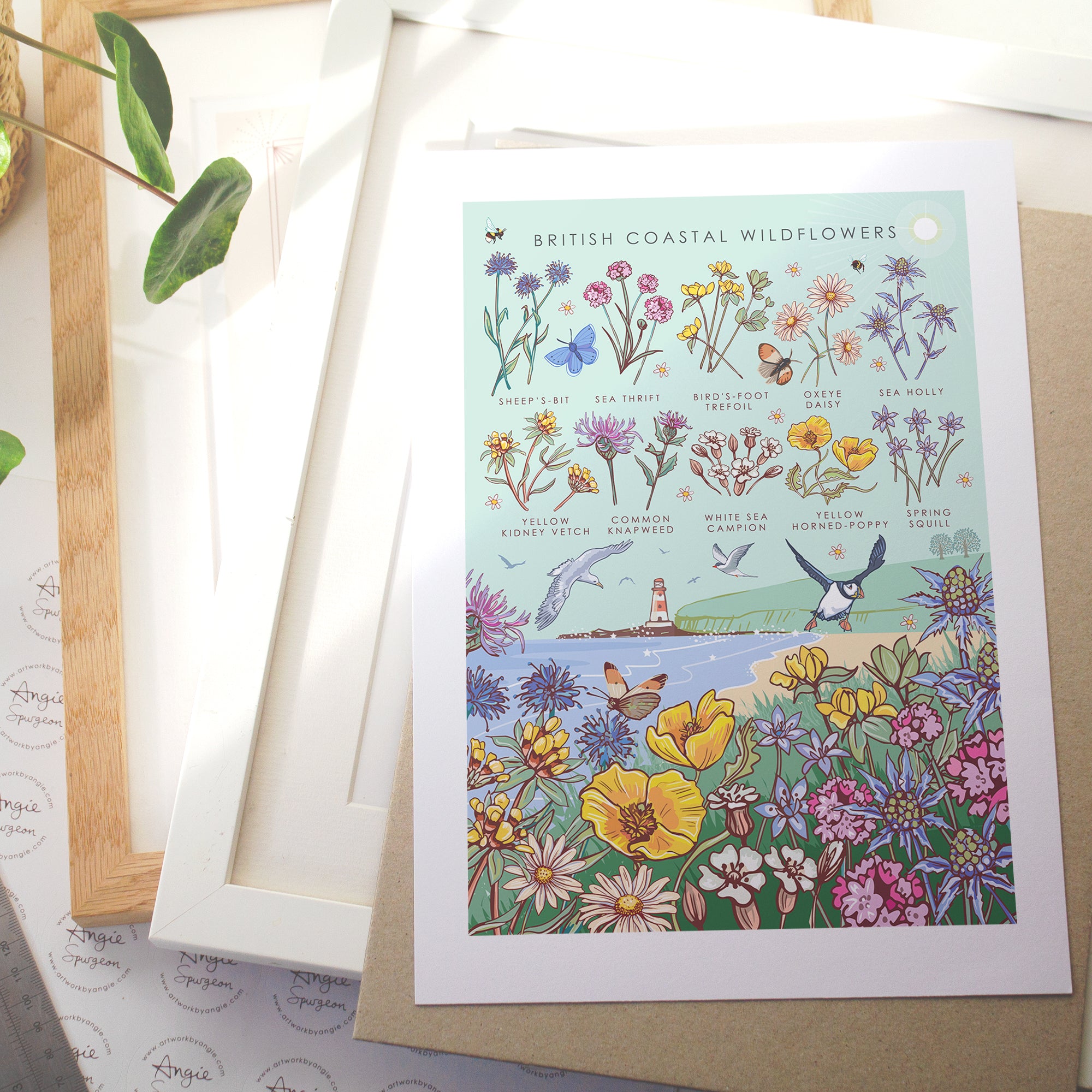 British Coastal Wildflowers Nature Guide Wall Art Print