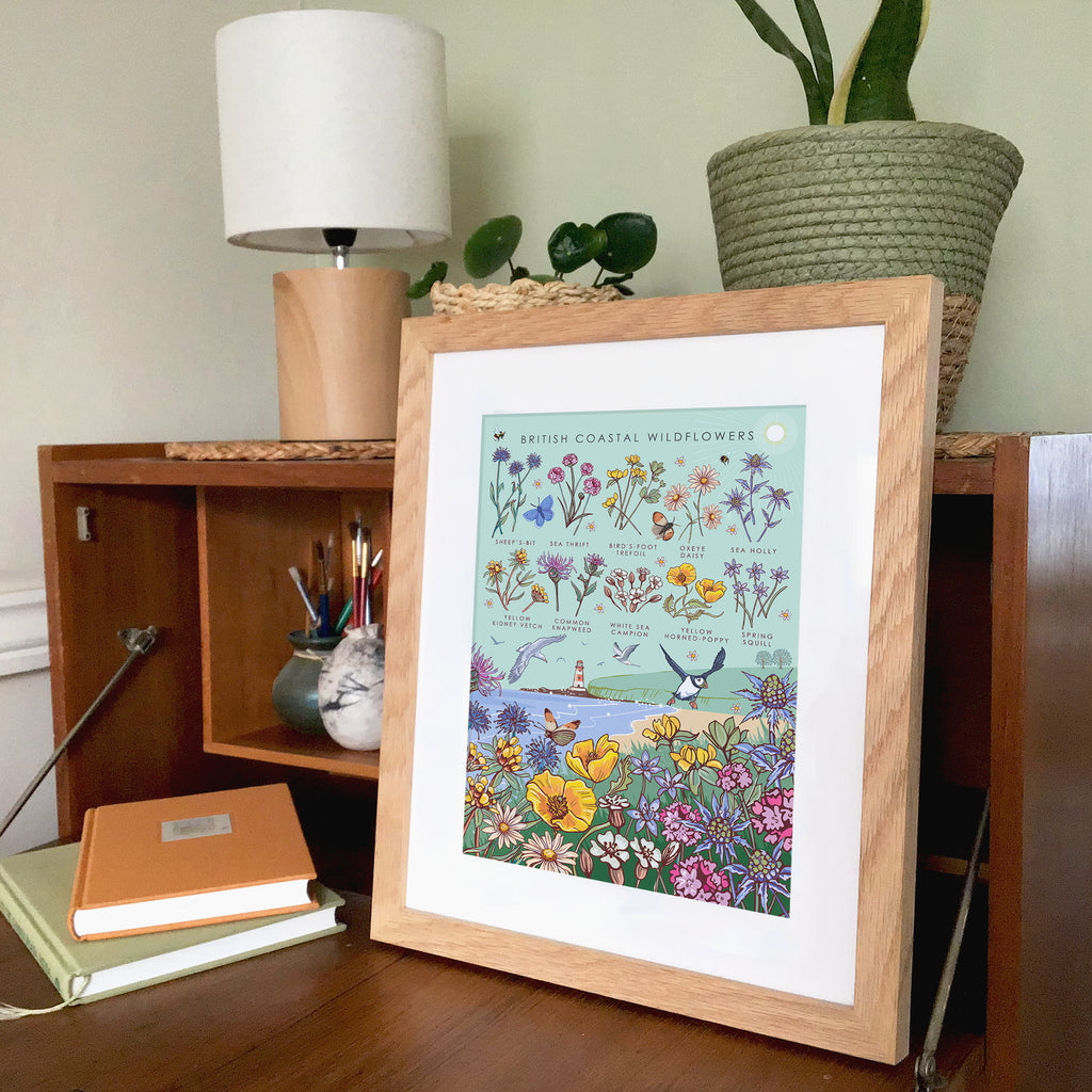 British Coastal Wildflowers Nature Guide Wall Art Print