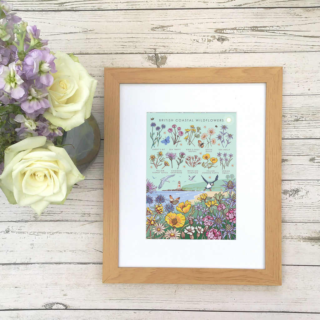 British Coastal Wildflowers Nature Guide Wall Art Print