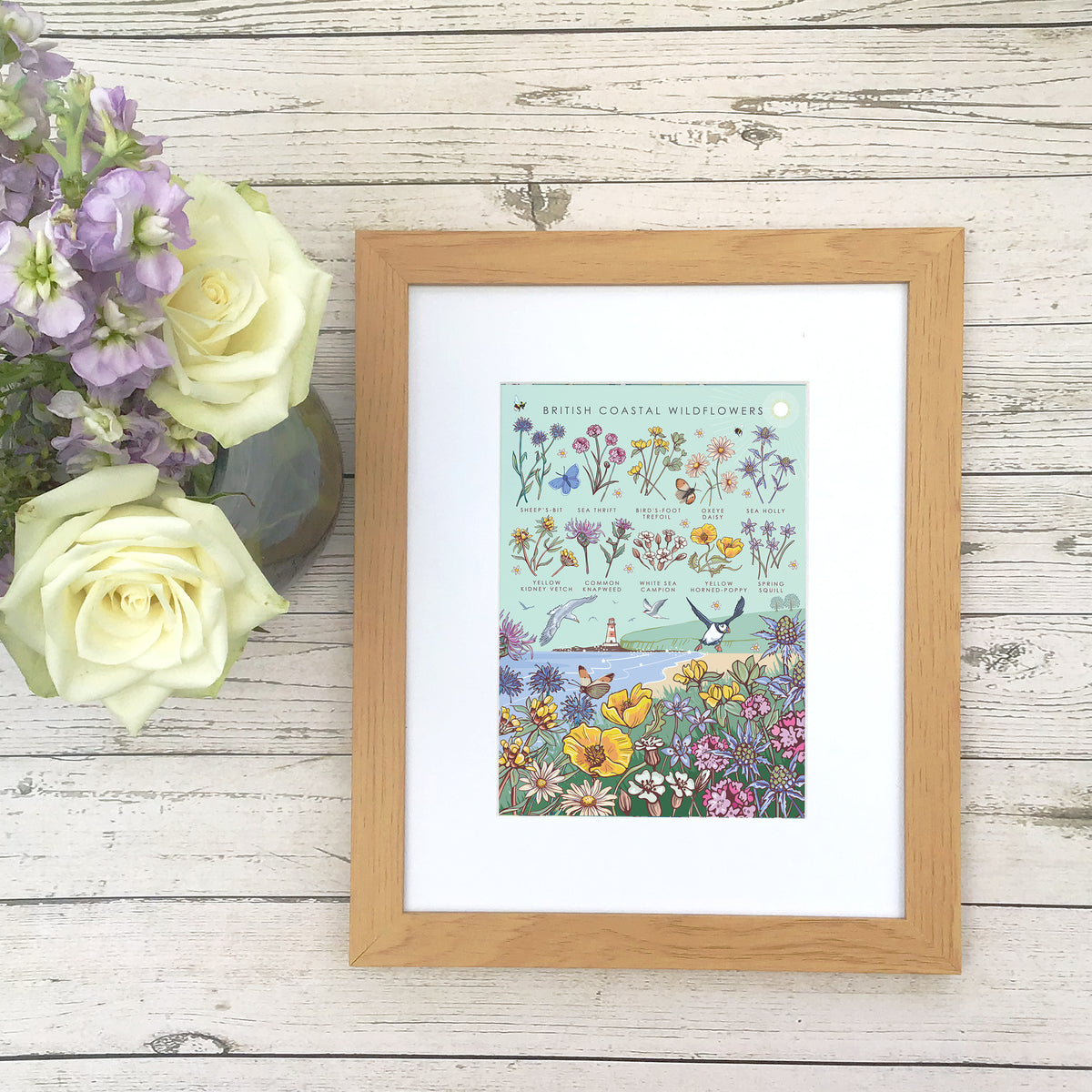 British Coastal Wildflowers Nature Guide Wall Art Print