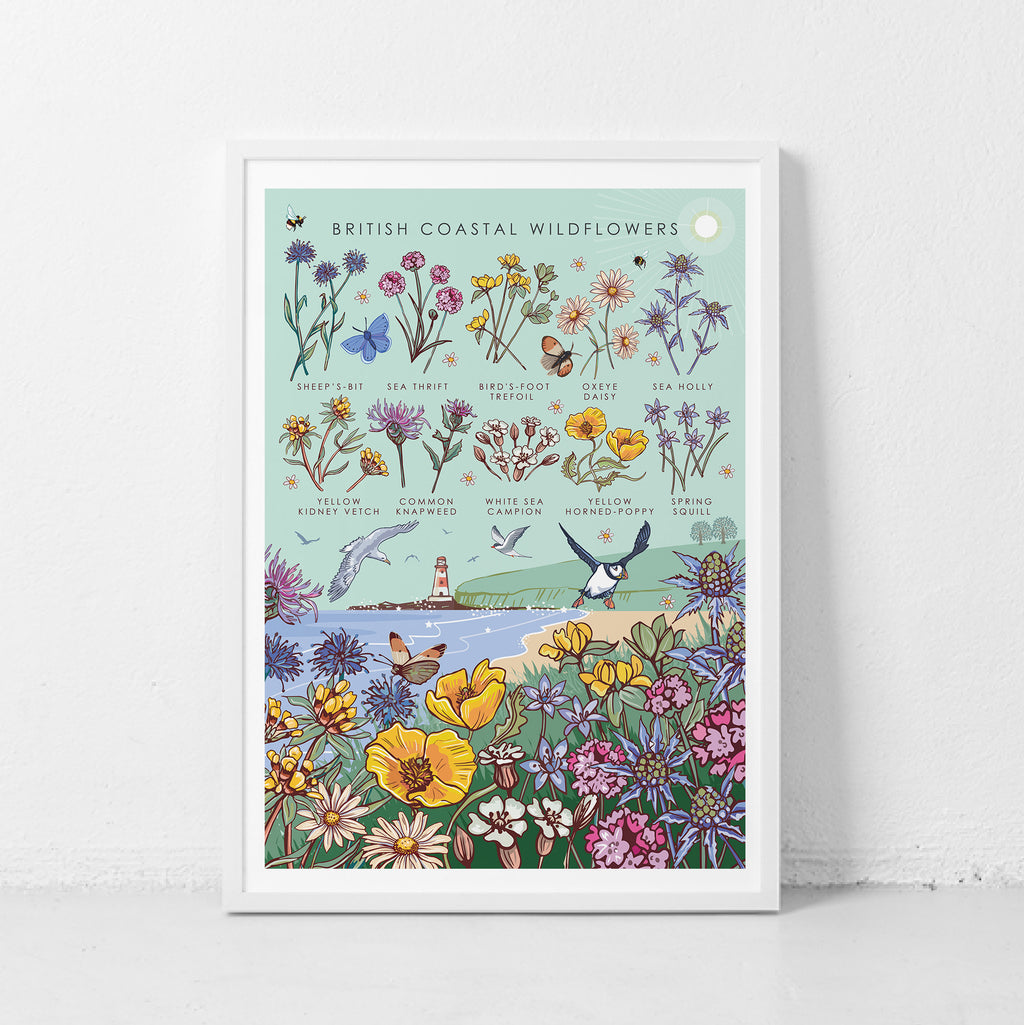 British Coastal Wildflowers Nature Guide Wall Art Print