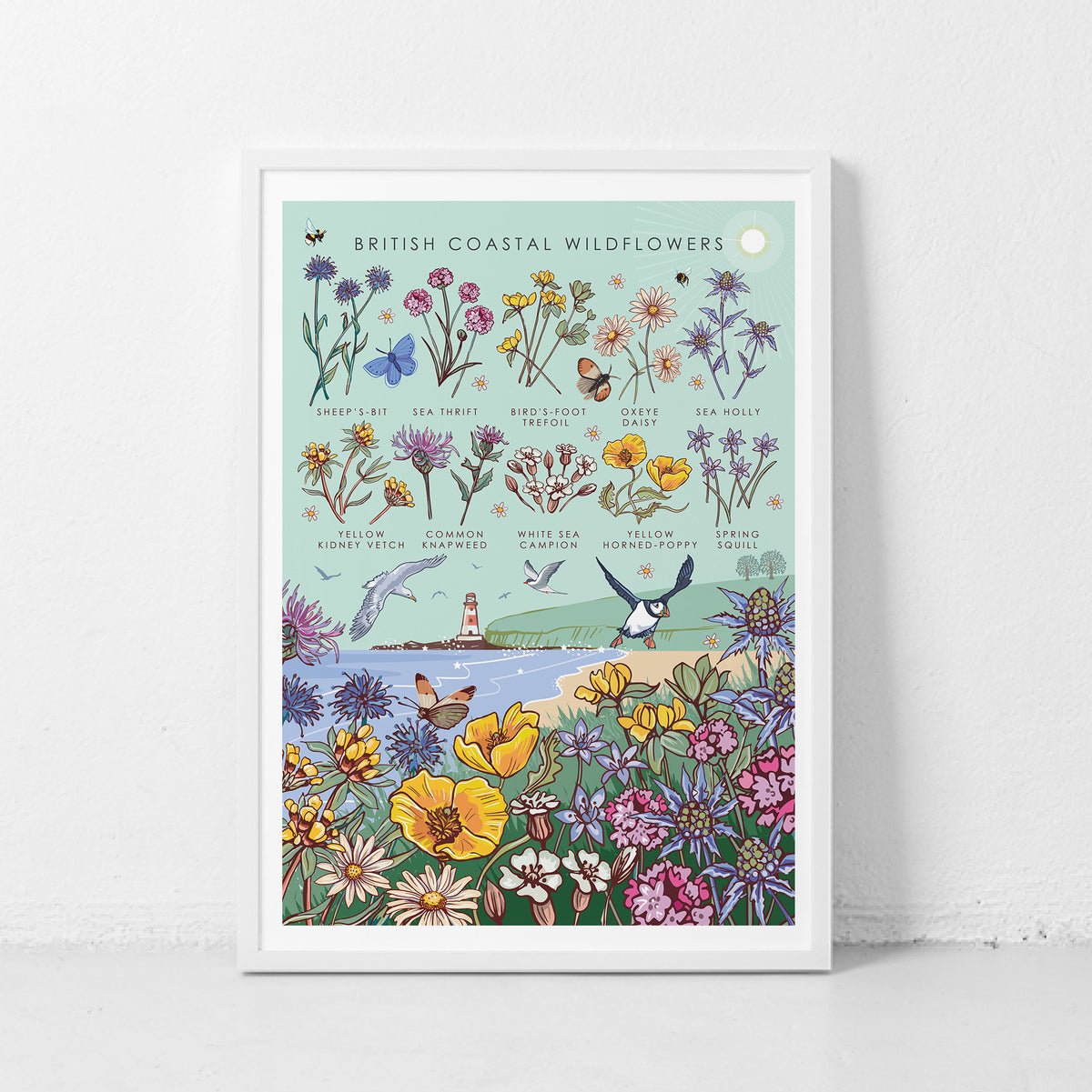 British Coastal Wildflowers Nature Guide Wall Art Print