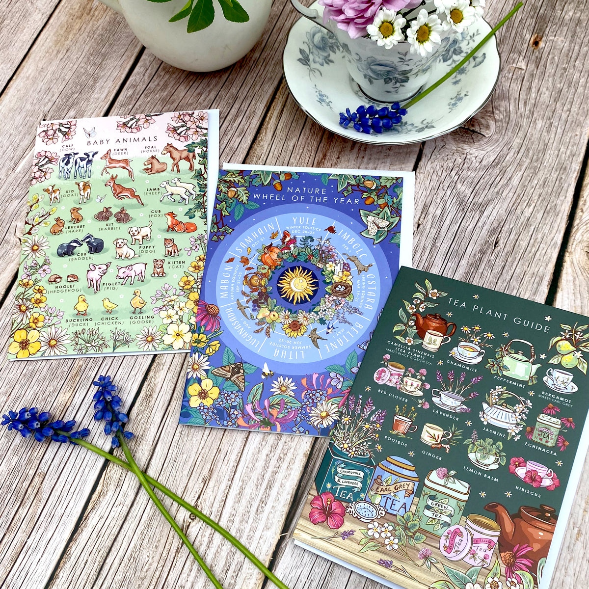 Nature Guide Art Card Set: Wheel of the Year, Baby Animals, Tea Plants