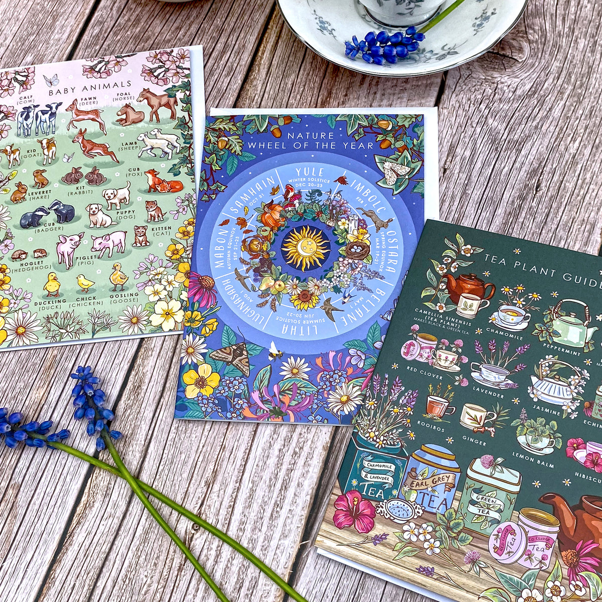 Nature Guide Art Card Set: Wheel of the Year, Baby Animals, Tea Plants