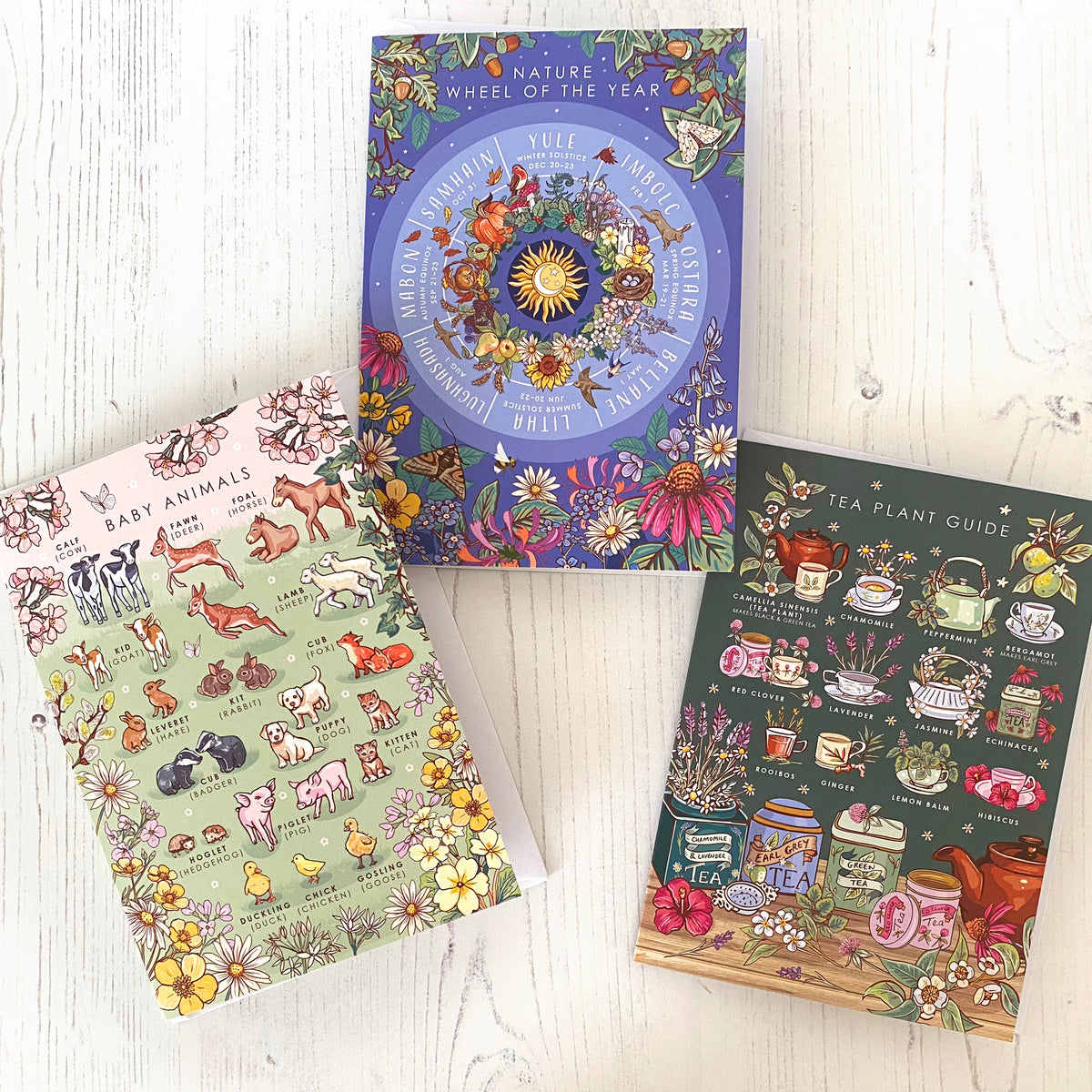 Nature Guide Art Card Set: Wheel of the Year, Baby Animals, Tea Plants
