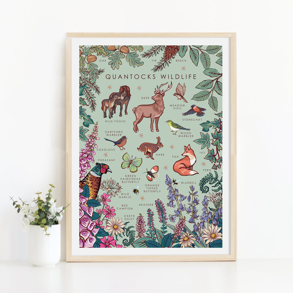 Quantocks Wildlife Nature Guide Wall Art Print