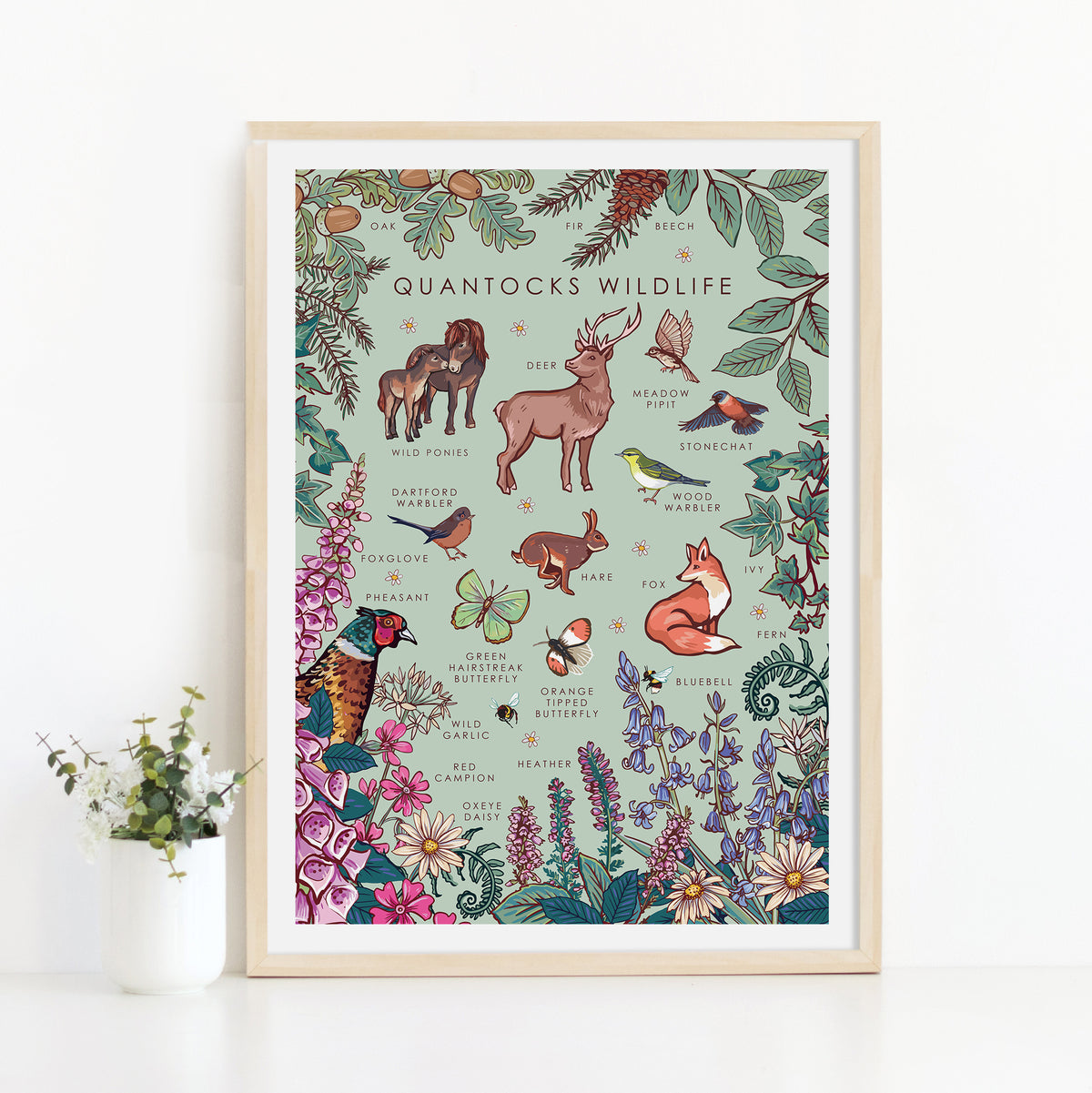 Quantocks Wildlife Nature Guide Wall Art Print
