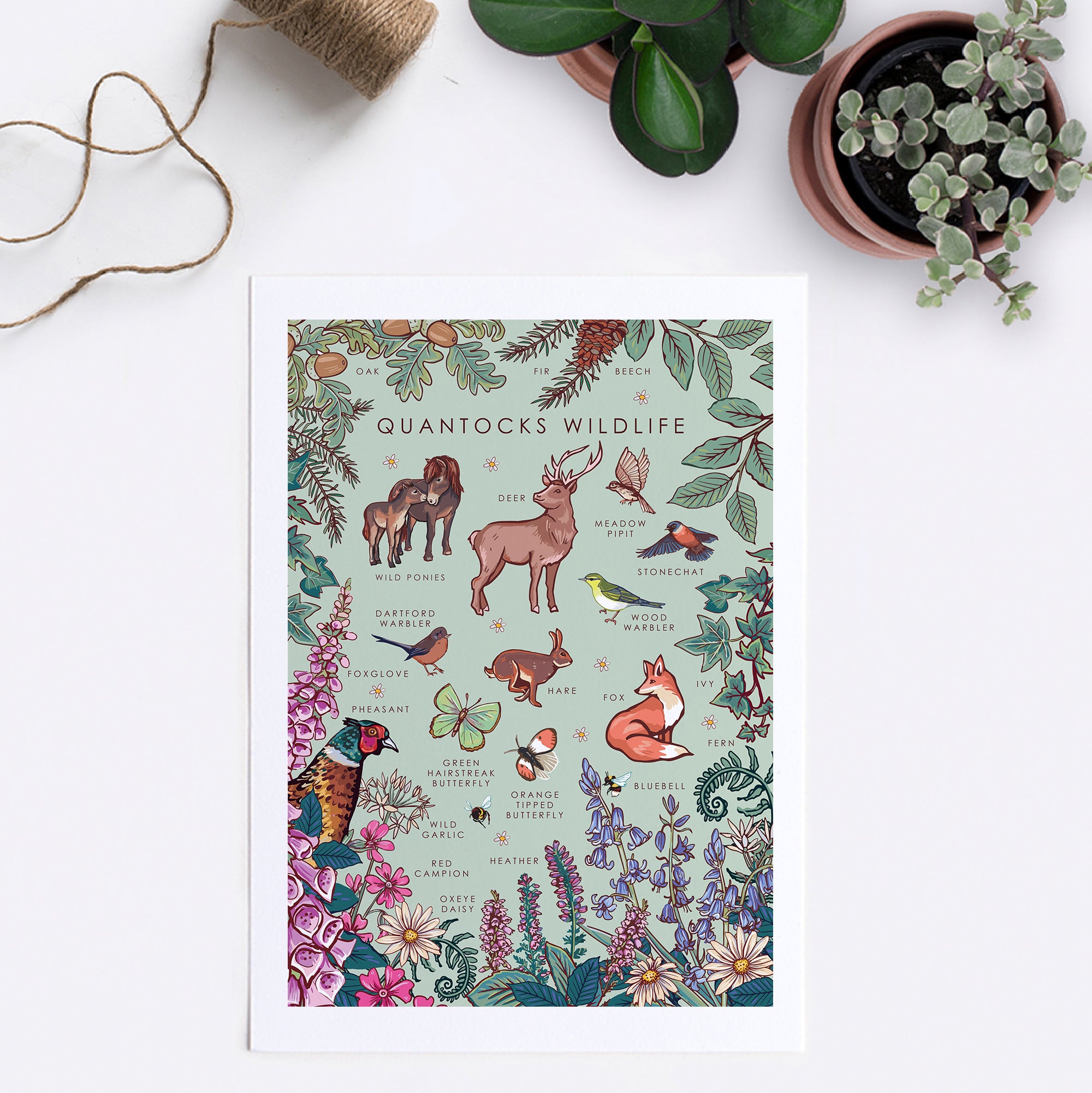 Quantocks Wildlife Nature Guide Wall Art Print