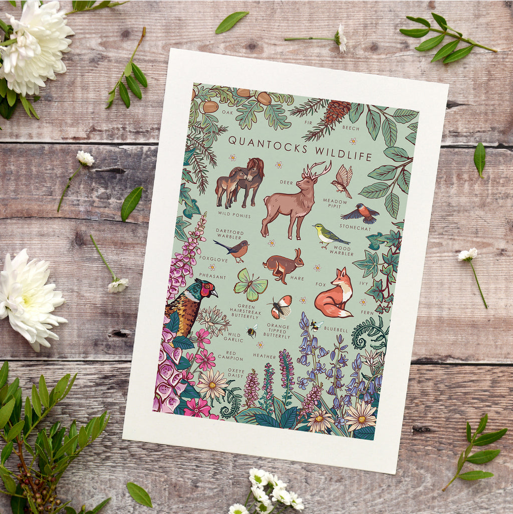 Quantocks Wildlife Nature Guide Wall Art Print