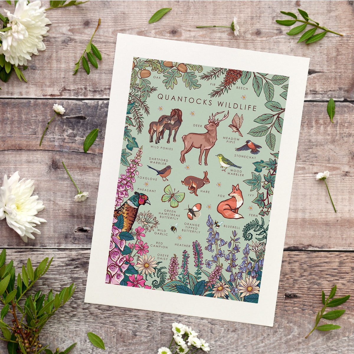 Quantocks Wildlife Nature Guide Wall Art Print