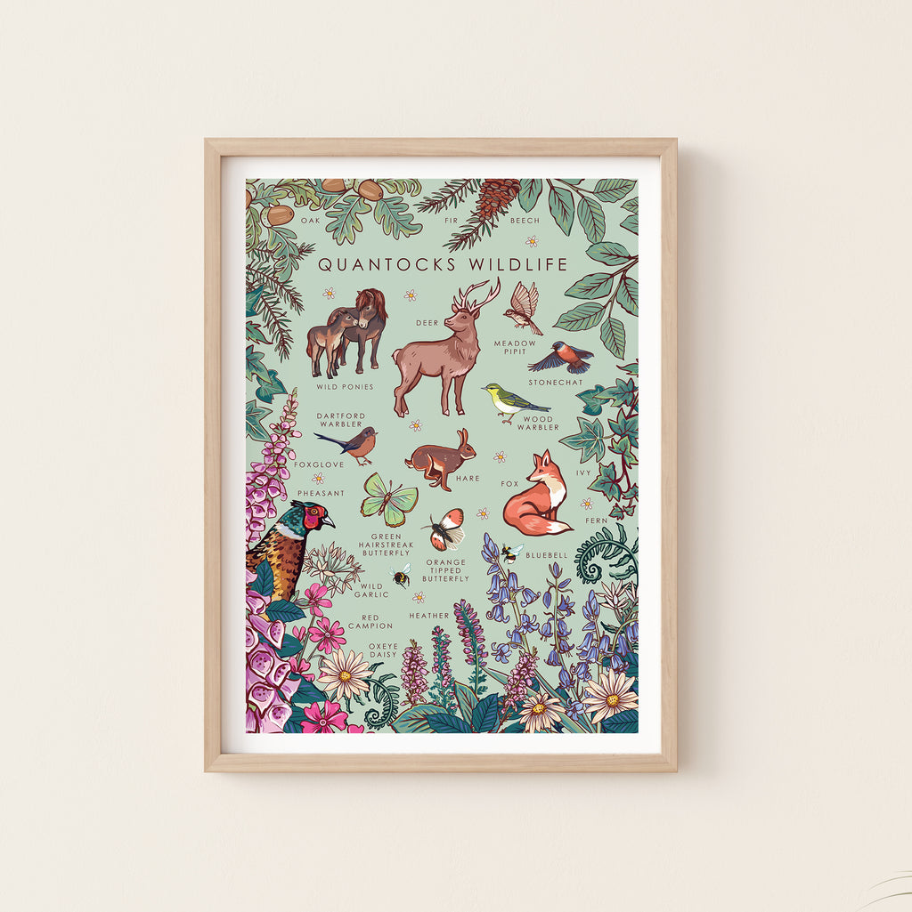 Quantocks Wildlife Nature Guide Wall Art Print