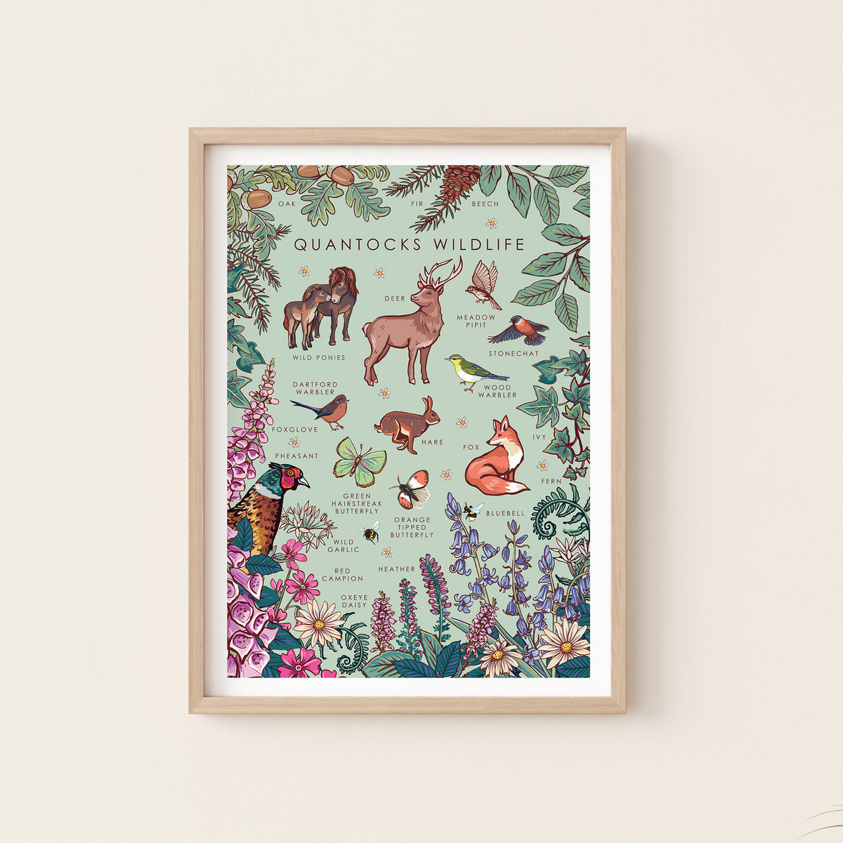 Quantocks Wildlife Nature Guide Wall Art Print