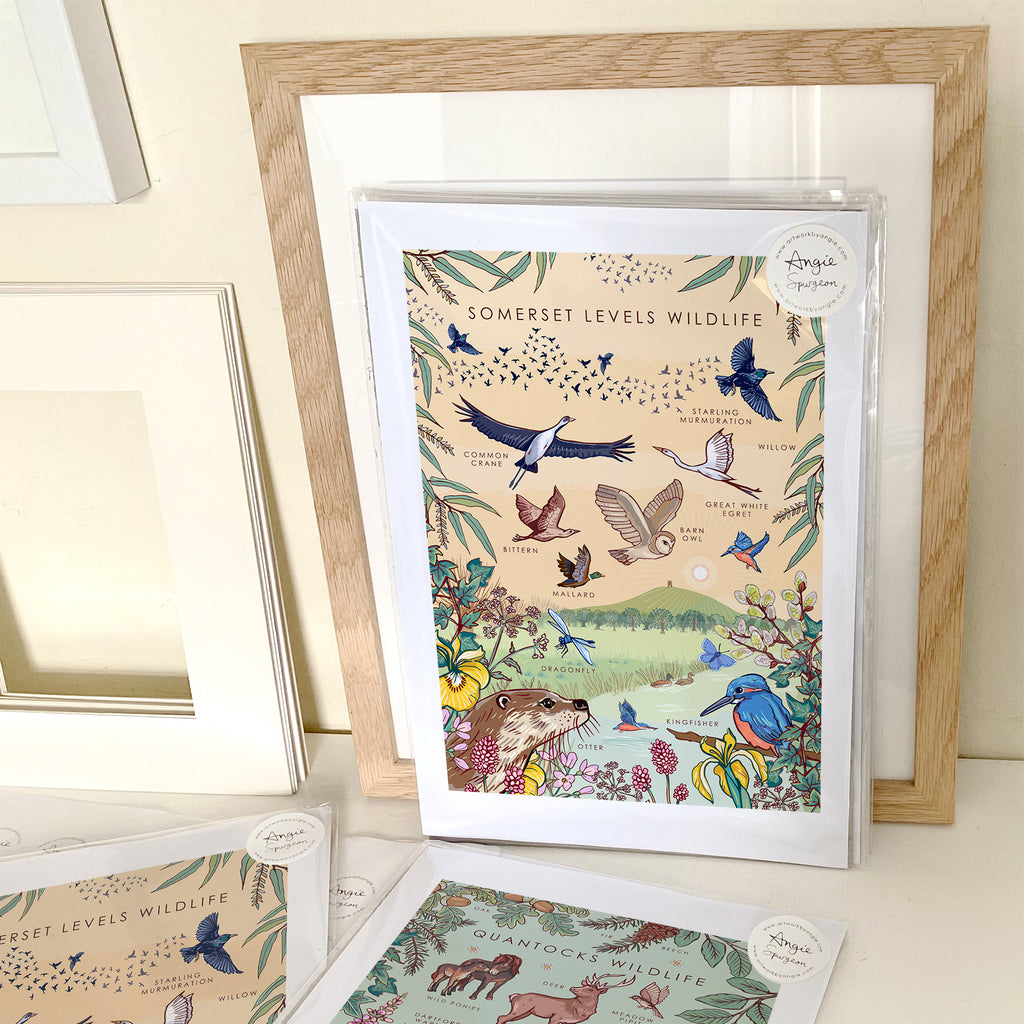 Somerset Levels Wildlife Nature Guide Wall Art Print