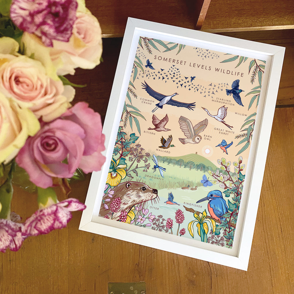 Somerset Levels Wildlife Nature Guide Wall Art Print