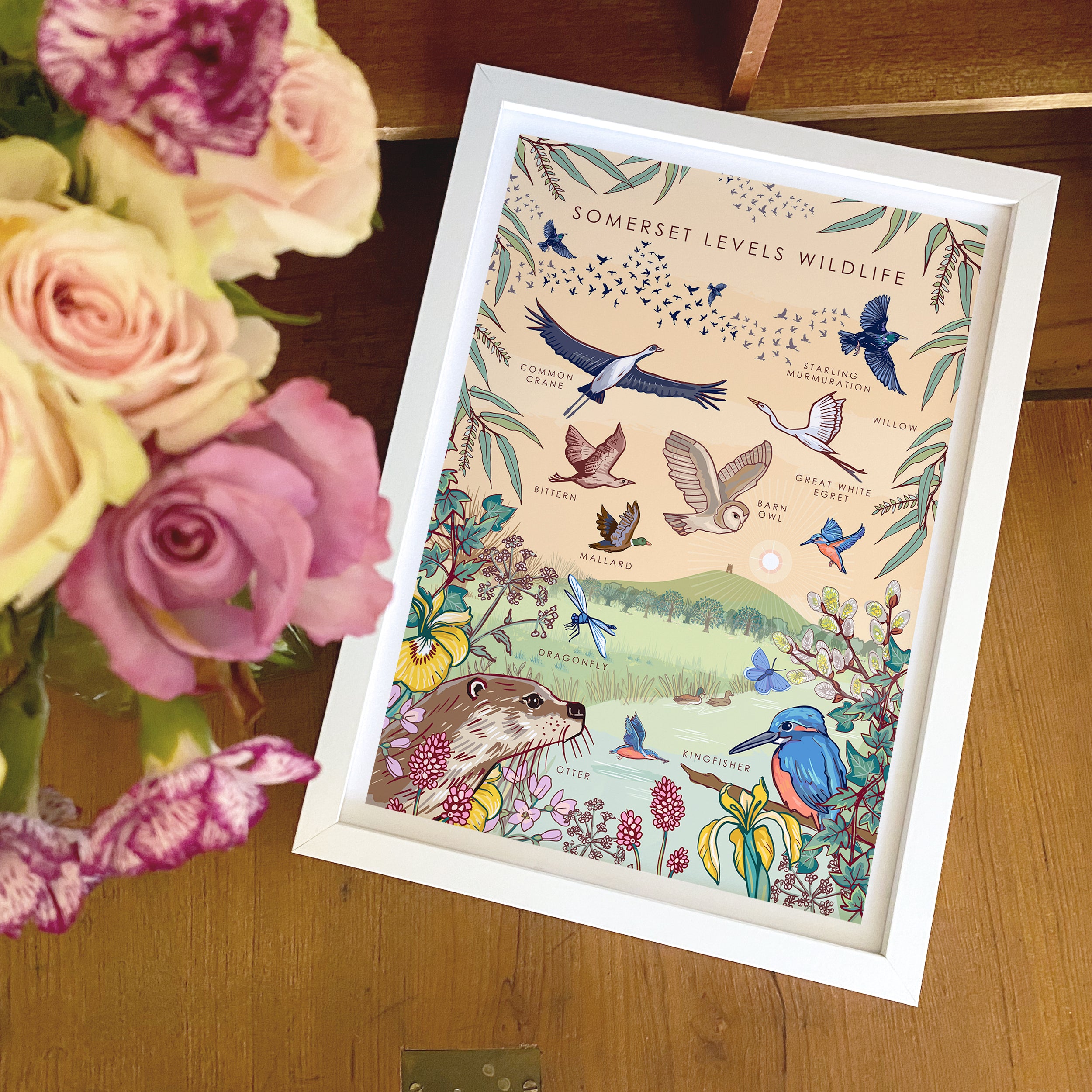 Somerset Levels Wildlife Nature Guide Wall Art Print