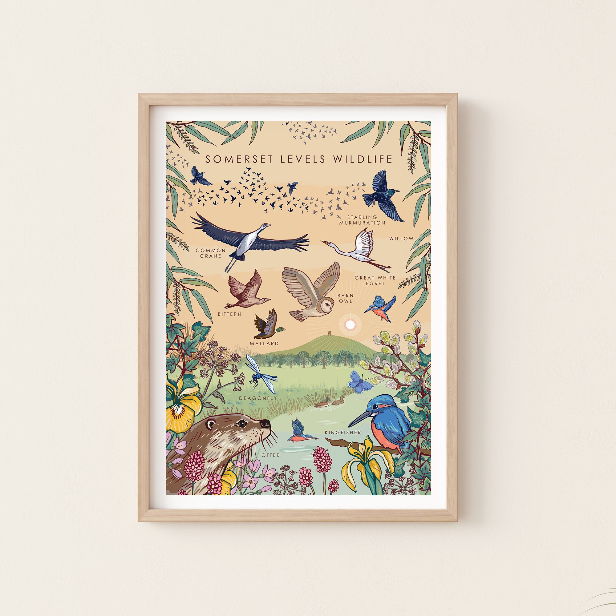 Somerset Levels Wildlife Nature Guide Wall Art Print