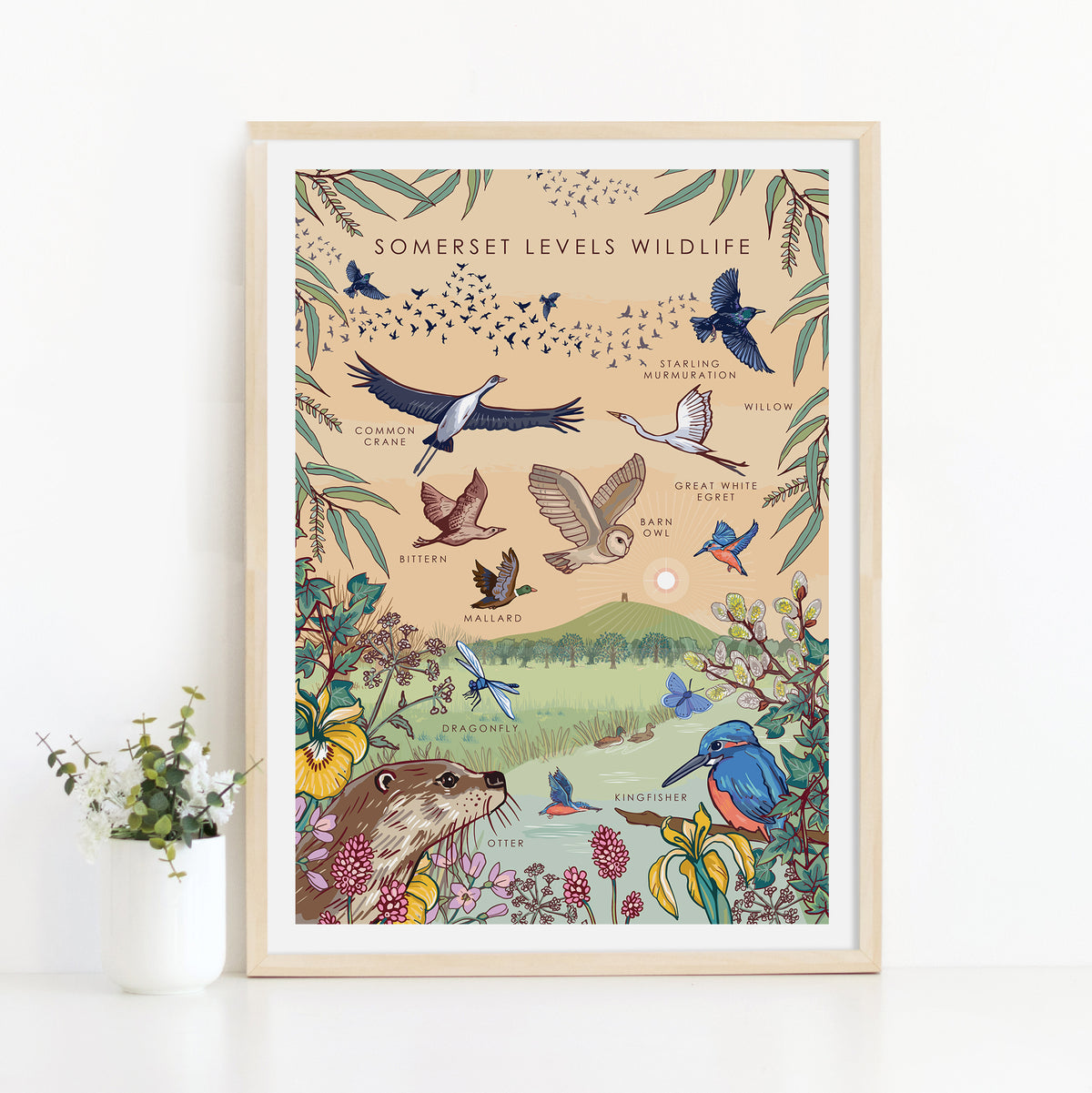 Somerset Levels Wildlife Nature Guide Wall Art Print