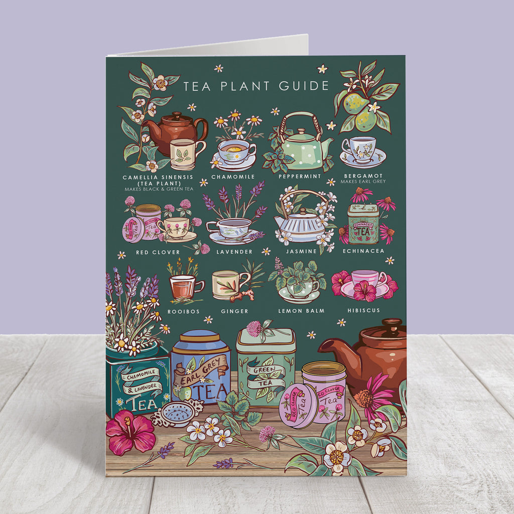 Nature Guide Art Card Set: Wheel of the Year, Baby Animals, Tea Plants