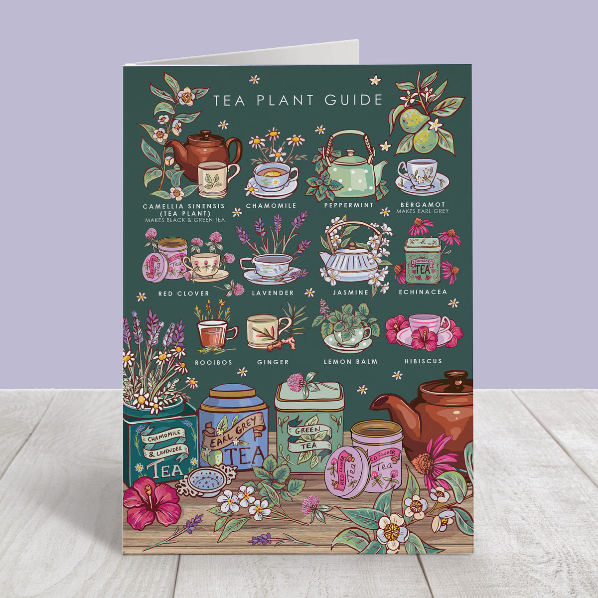 Nature Guide Art Card Set: Wheel of the Year, Baby Animals, Tea Plants