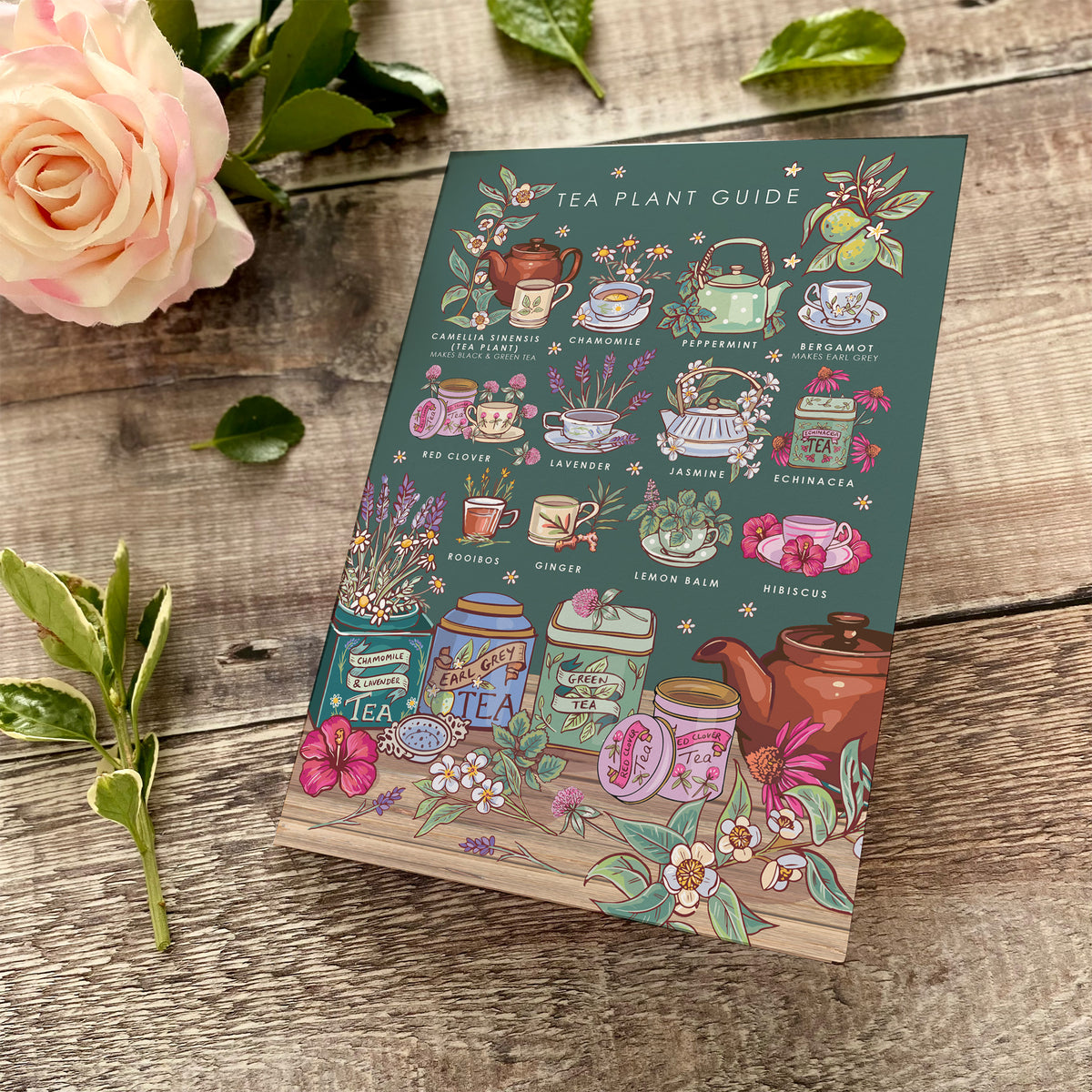 Nature Guide Art Card Set: Wheel of the Year, Baby Animals, Tea Plants