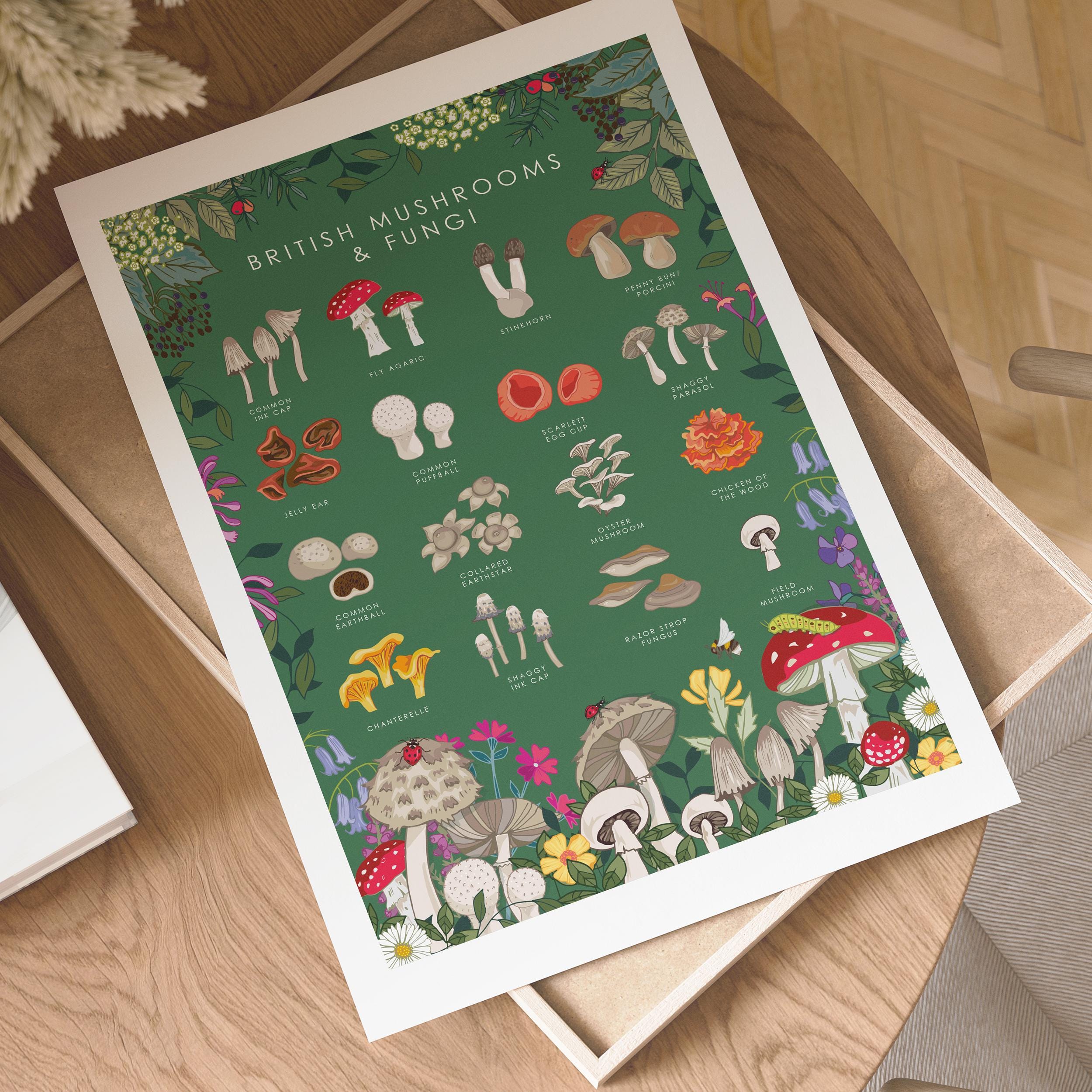 British Mushrooms and Fungi Nature Guide Wall Art Print