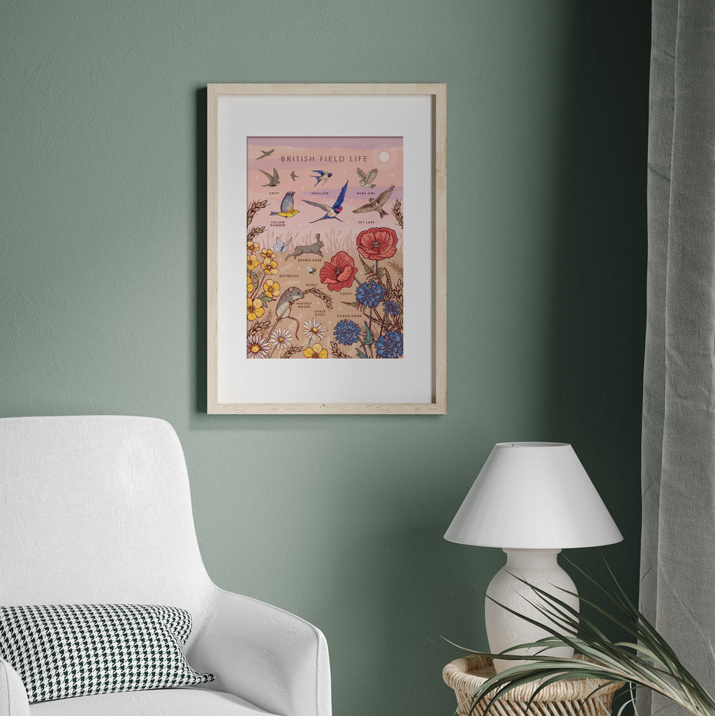 British Field Life Nature Guide Wall Art Print