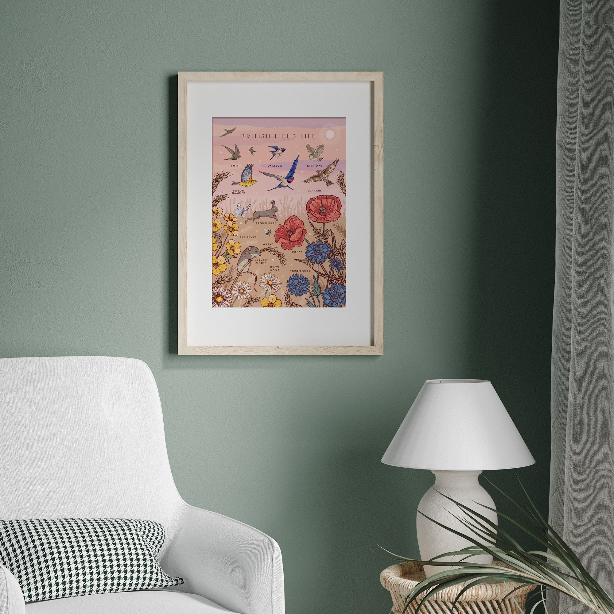British Field Life Nature Guide Wall Art Print