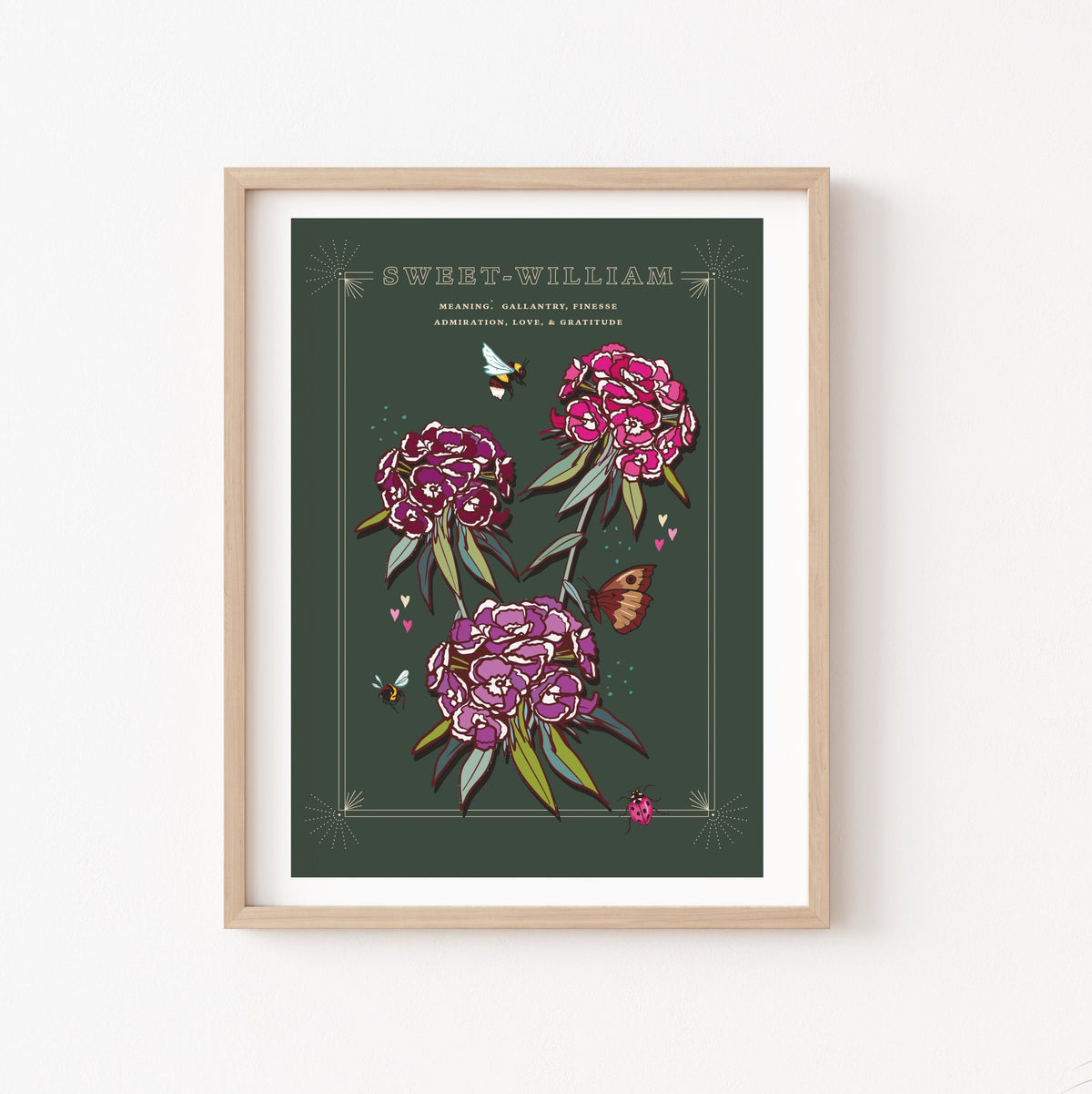 Sweet William Wall Art Print, Flower Meaning Illustration Print