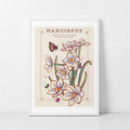 Narcissus December Birth Flower Wall Art Print