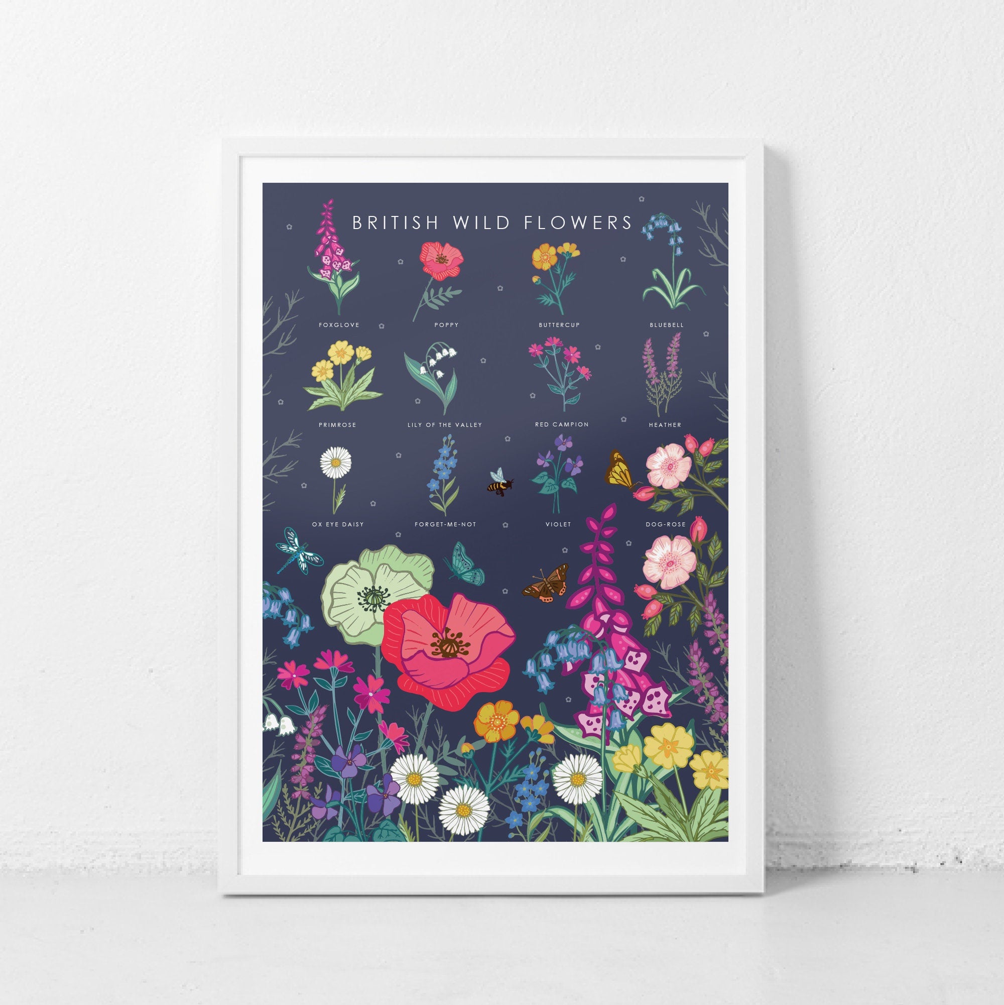 British Wildflowers Nature Guide Wall Art Print